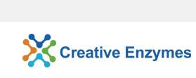 creative enzymes logo.png
