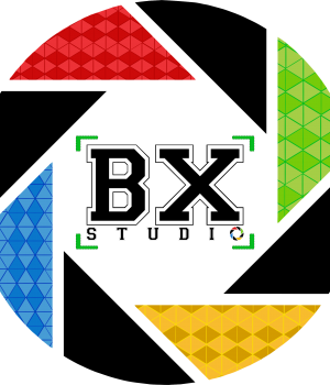 bx logo.png