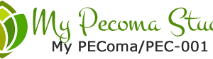 logo (8).png